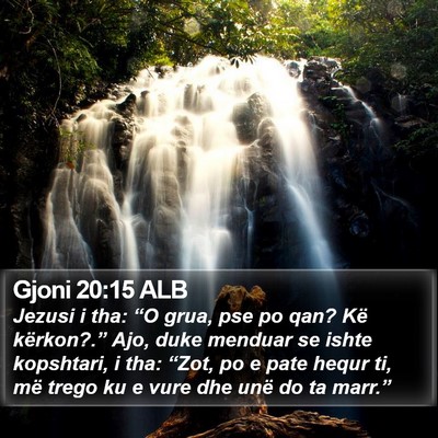 Gjoni 20:15 ALB Bible Verse Image