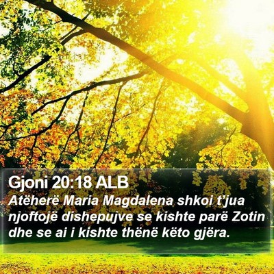 Gjoni 20:18 ALB Bible Verse Image