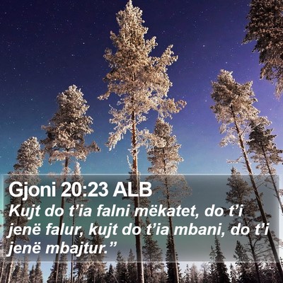 Gjoni 20:23 ALB Bible Verse Image