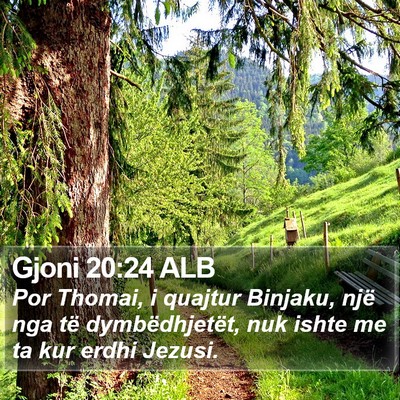 Gjoni 20:24 ALB Bible Verse Image