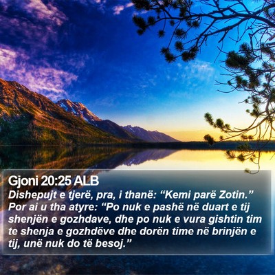 Gjoni 20:25 ALB Bible Verse Image