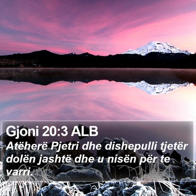 Gjoni 20:3 ALB Bible Verse Image