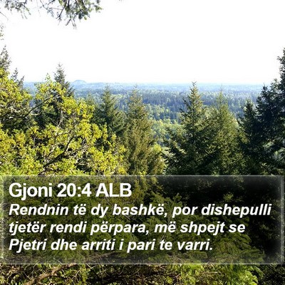 Gjoni 20:4 ALB Bible Verse Image