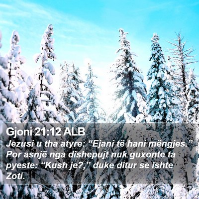 Gjoni 21:12 ALB Bible Verse Image