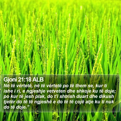 Gjoni 21:18 ALB Bible Verse Image