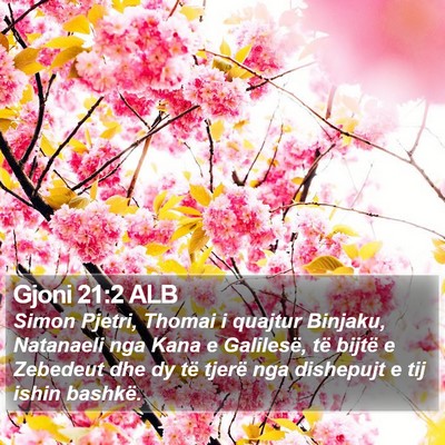 Gjoni 21:2 ALB Bible Verse Image