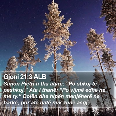 Gjoni 21:3 ALB Bible Verse Image