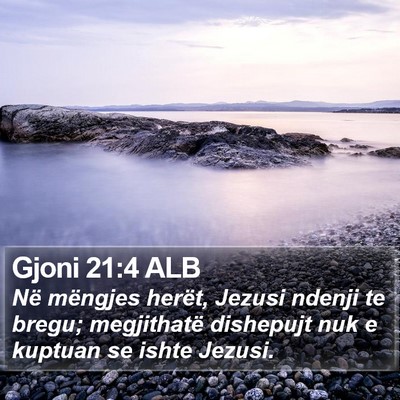 Gjoni 21:4 ALB Bible Verse Image
