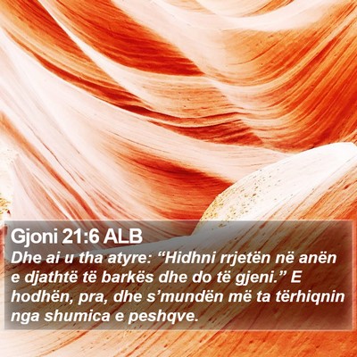 Gjoni 21:6 ALB Bible Verse Image