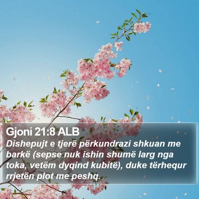 Gjoni 21:8 ALB Bible Verse Image