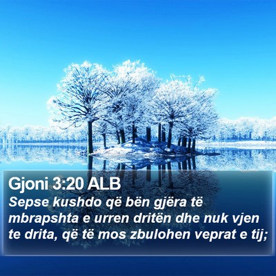 Gjoni 3:20 ALB Bible Verse Image