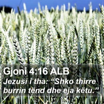 Gjoni 4:16 ALB Bible Verse Image
