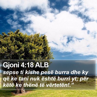 Gjoni 4:18 ALB Bible Verse Image