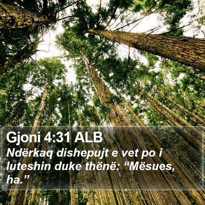 Gjoni 4:31 ALB Bible Verse Image