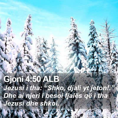 Gjoni 4:50 ALB Bible Verse Image