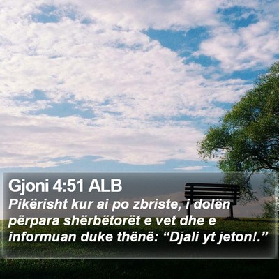 Gjoni 4:51 ALB Bible Verse Image