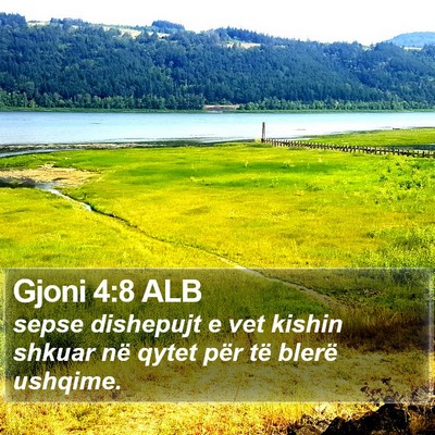 Gjoni 4:8 ALB Bible Verse Image