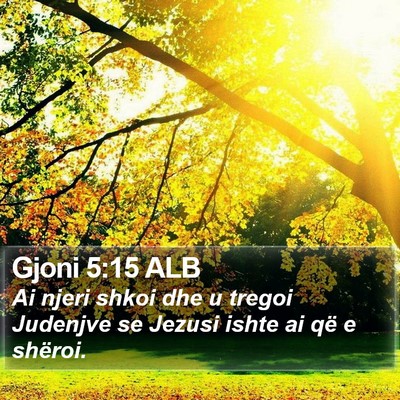 Gjoni 5:15 ALB Bible Verse Image