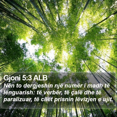 Gjoni 5:3 ALB Bible Verse Image