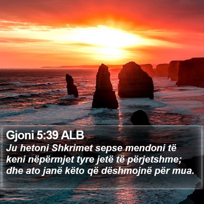 Gjoni 5:39 ALB Bible Verse Image
