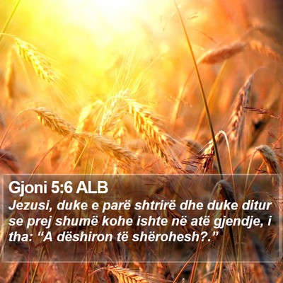 Gjoni 5:6 ALB Bible Verse Image
