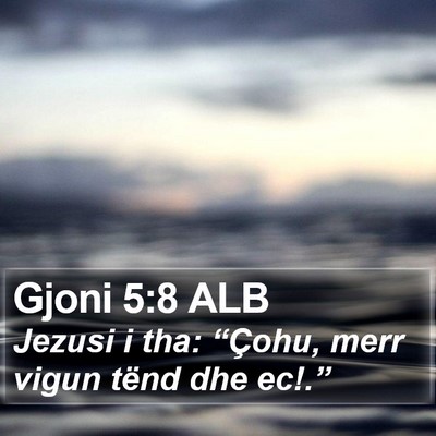 Gjoni 5:8 ALB Bible Verse Image