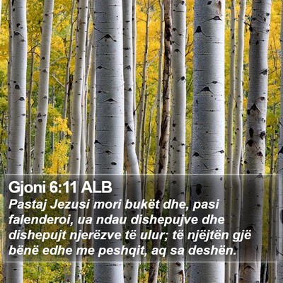 Gjoni 6:11 ALB Bible Verse Image