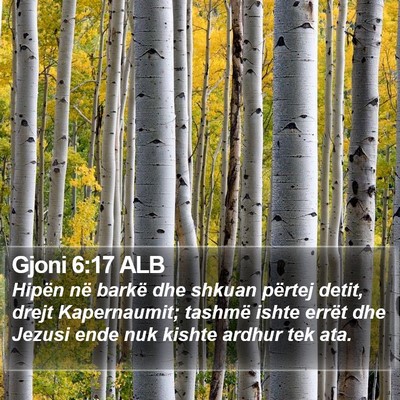Gjoni 6:17 ALB Bible Verse Image
