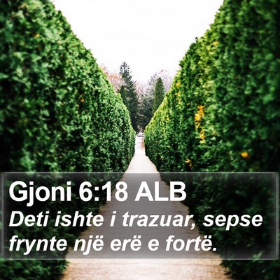Gjoni 6:18 ALB Bible Verse Image