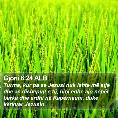 Gjoni 6:24 ALB Bible Verse Image