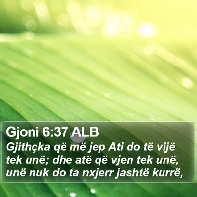 Gjoni 6:37 ALB Bible Verse Image