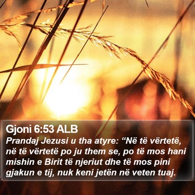 Gjoni 6:53 ALB Bible Verse Image