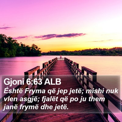 Gjoni 6:63 ALB Bible Verse Image