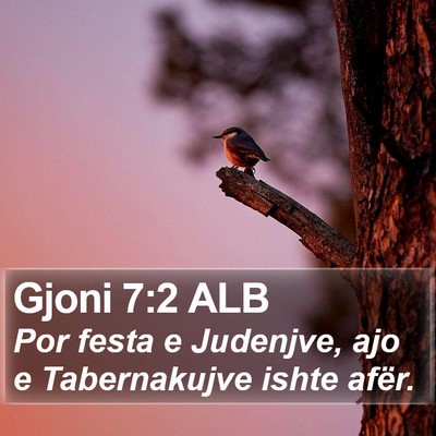 Gjoni 7:2 ALB Bible Verse Image