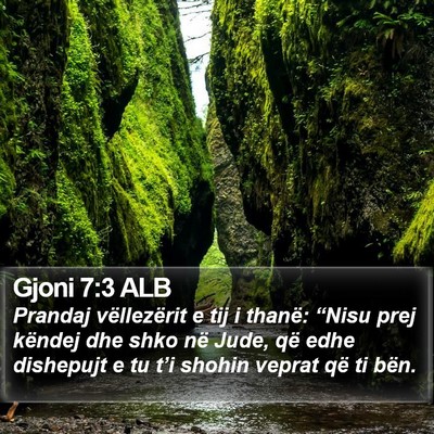 Gjoni 7:3 ALB Bible Verse Image