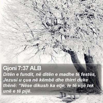 Gjoni 7:37 ALB Bible Verse Image