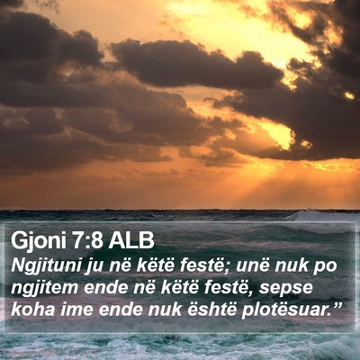 Gjoni 7:8 ALB Bible Verse Image