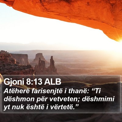 Gjoni 8:13 ALB Bible Verse Image