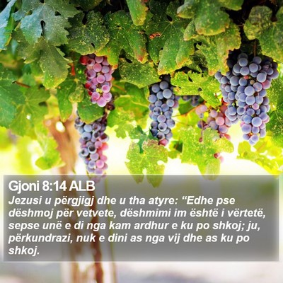 Gjoni 8:14 ALB Bible Verse Image