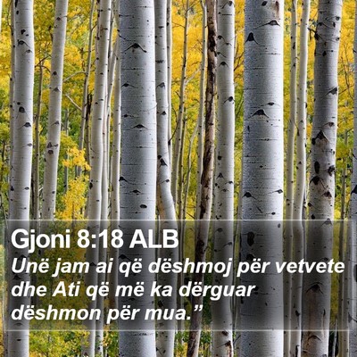 Gjoni 8:18 ALB Bible Verse Image