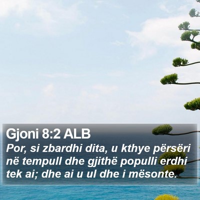 Gjoni 8:2 ALB Bible Verse Image