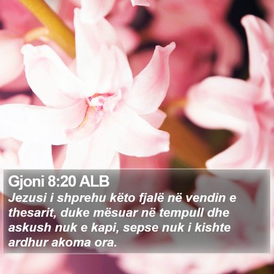 Gjoni 8:20 ALB Bible Verse Image