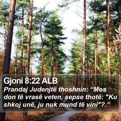 Gjoni 8:22 ALB Bible Verse Image