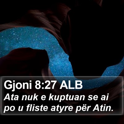 Gjoni 8:27 ALB Bible Verse Image