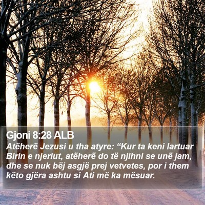 Gjoni 8:28 ALB Bible Verse Image