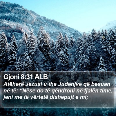 Gjoni 8:31 ALB Bible Verse Image