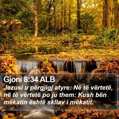 Gjoni 8:34 ALB Bible Verse Image