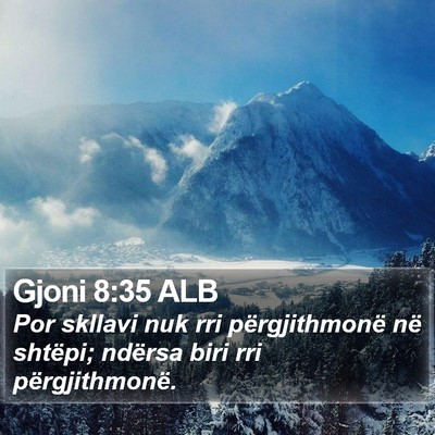 Gjoni 8:35 ALB Bible Verse Image