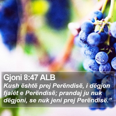Gjoni 8:47 ALB Bible Verse Image
