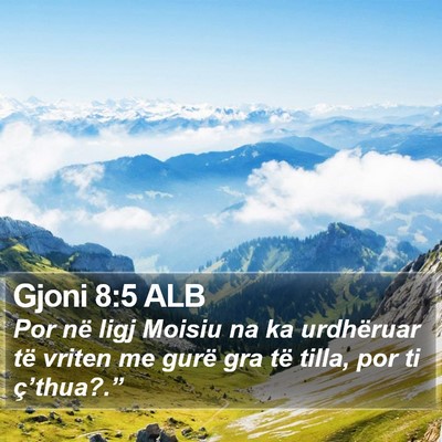 Gjoni 8:5 ALB Bible Verse Image